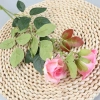 Silk flower fresh-keeping roses used to decorate the wedding background Specification image